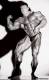 <b>Название: </b>dorian_yates8, <b>Добавил:<b> Boycott<br>Размеры: 375x600, 29.2 Кб