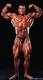 <b>Название: </b>dorian_yates6, <b>Добавил:<b> Boycott<br>Размеры: 329x600, 23.0 Кб