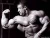 <b>Название: </b>1259087444_dorianyates-wallpaper1-580x435, <b>Добавил:<b> Boycott<br>Размеры: 580x435, 58.2 Кб